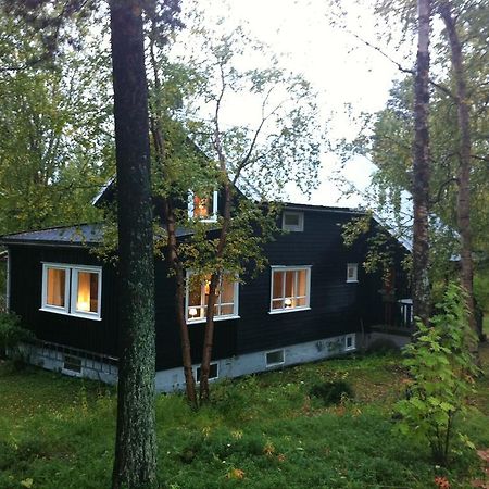 Svanvik Birk Bed & Birds B&B 객실 사진