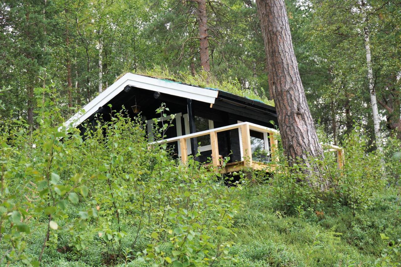 Svanvik Birk Bed & Birds B&B 외부 사진