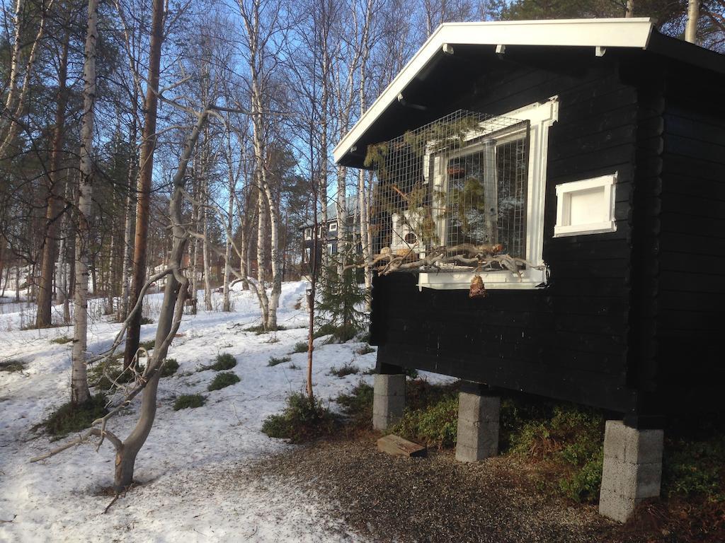 Svanvik Birk Bed & Birds B&B 외부 사진