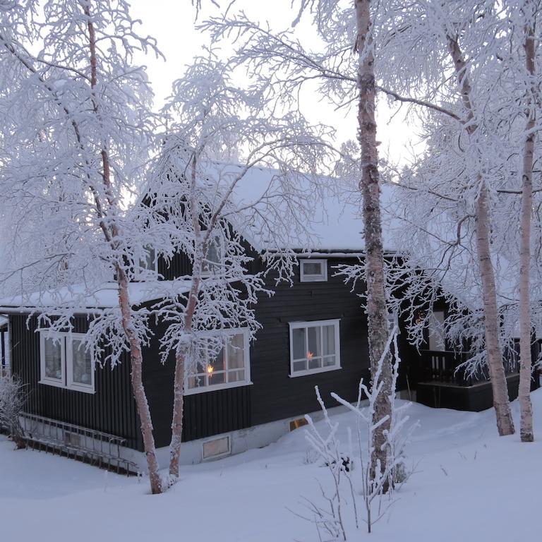 Svanvik Birk Bed & Birds B&B 외부 사진
