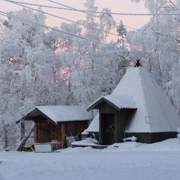 Svanvik Birk Bed & Birds B&B 외부 사진