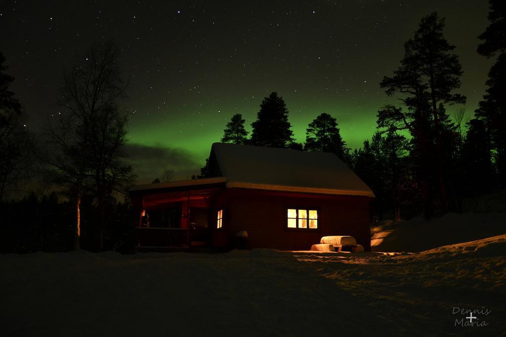 Svanvik Birk Bed & Birds B&B 외부 사진