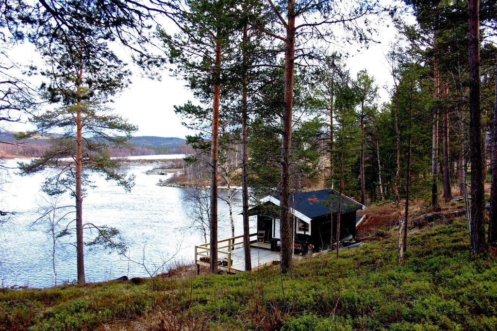Svanvik Birk Bed & Birds B&B 외부 사진