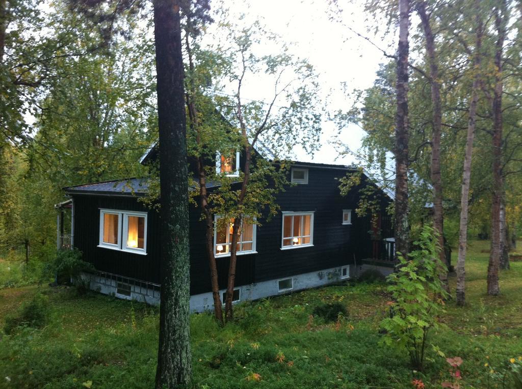 Svanvik Birk Bed & Birds B&B 객실 사진